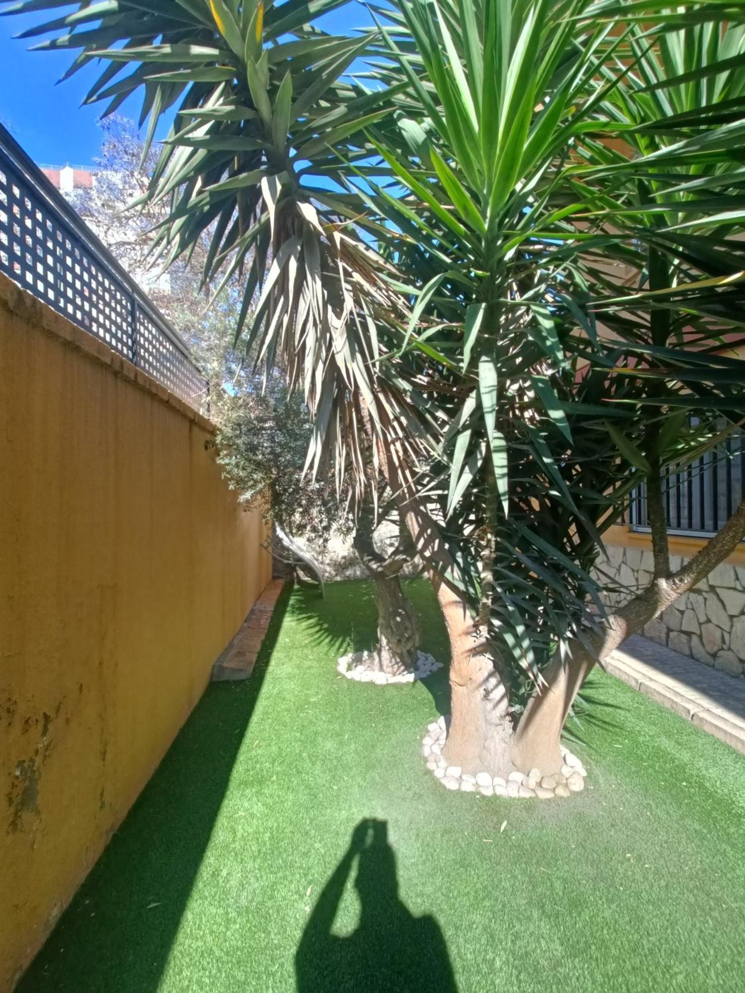 מאלגה Beach&Garden מראה חיצוני תמונה